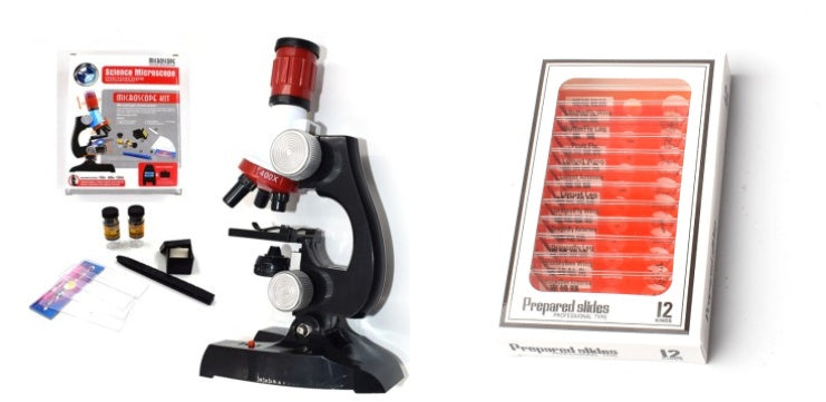 Child Biological Science And Education Microscope - Cindi Book