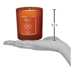Old World Christmas Spiced Pumpkin Creme Candle - hand-blown glass Christmas tree ornament (view 10)