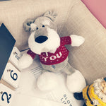 Schnauzer doll cute ins plush toy puppy husky doll - Cindi Book