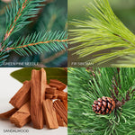 Old World Christmas Country Pinecone Scented Ornament - hand-blown glass Christmas tree ornament (view 3)