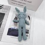 Children's Comfort Doll Company Gift Plush Rabbit - Cindi Book