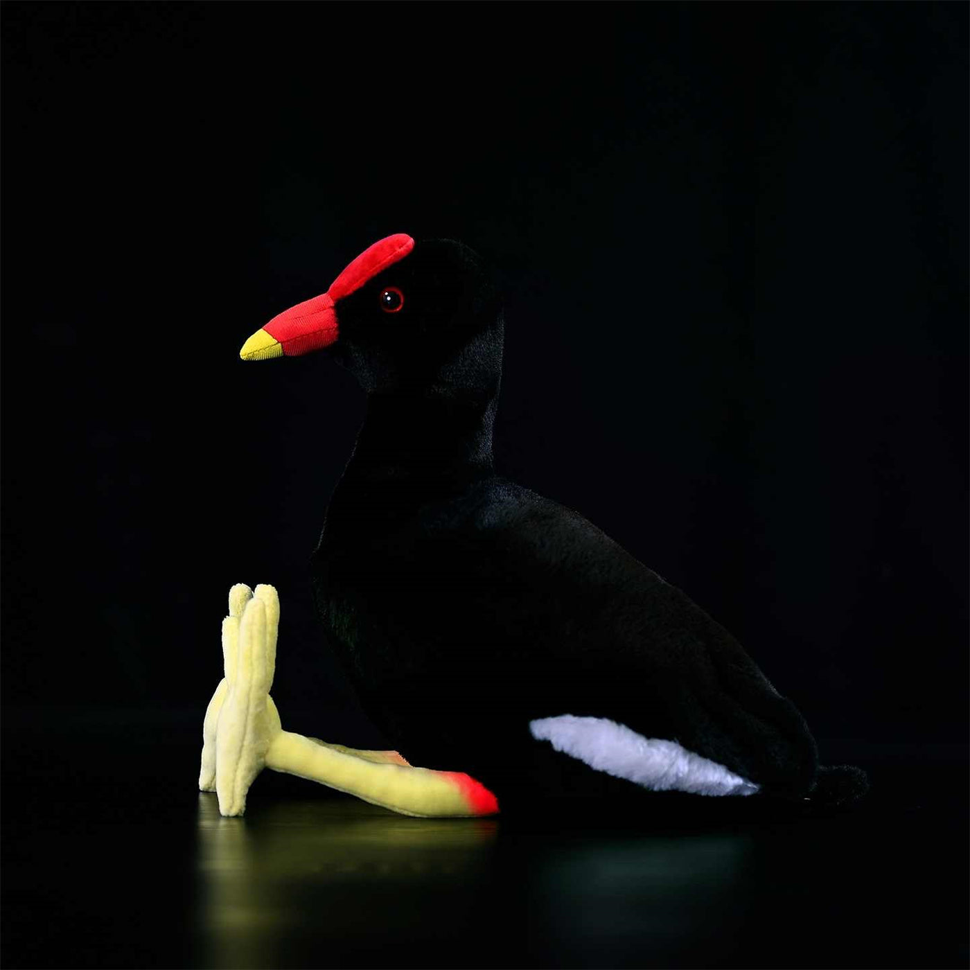 Black Water Chicken Plush Toy Red Bone Top - Cindi Book