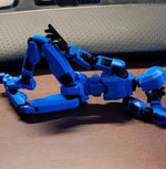 Multi-Jointed Movable Shapeshift Robot 2.0 3D Printed Mannequin Dummy Action Model Doll Toy Kid Gift - Cindi Book