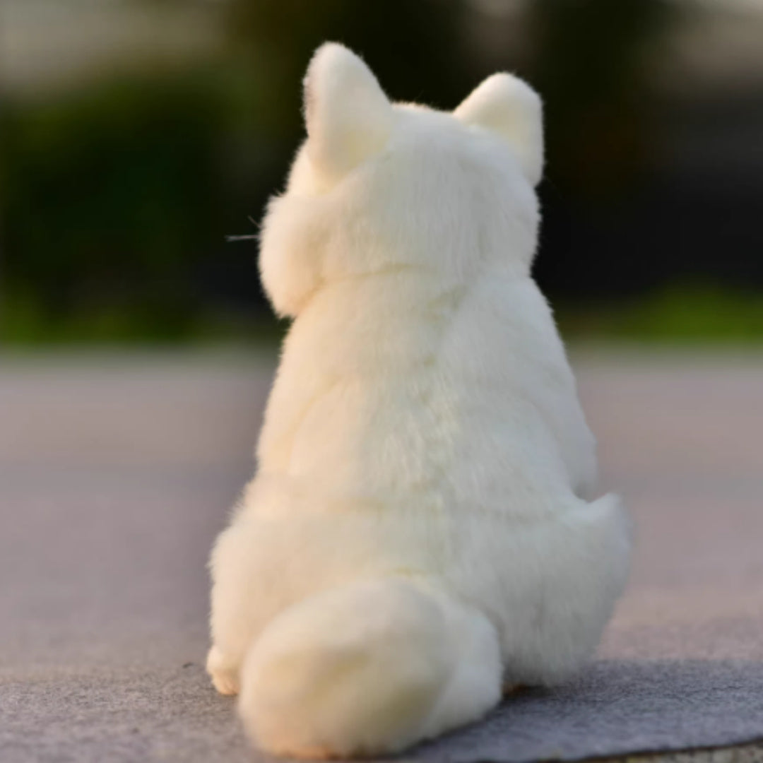 Plush Toys, Animal Dolls, and Plush Toys
