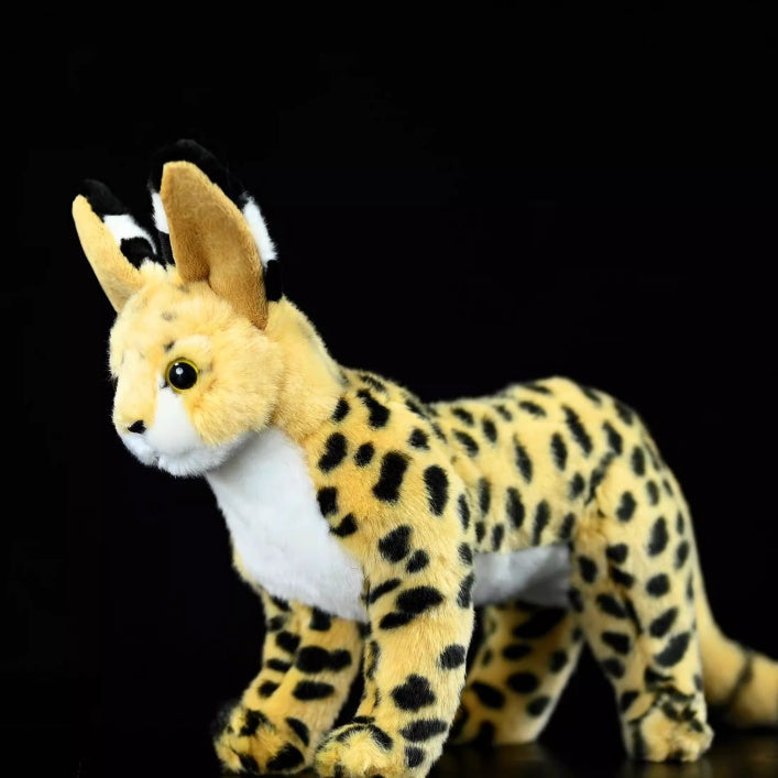 Cute Doll Plush Toy Stuffed Animal - Cindi Book