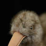 Kiwi Plush Toy New Zealand Juwei Doll - Cindi Book