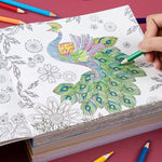 Elementary School Student Coloring Book Secret Garden Decompression - Cindi Book