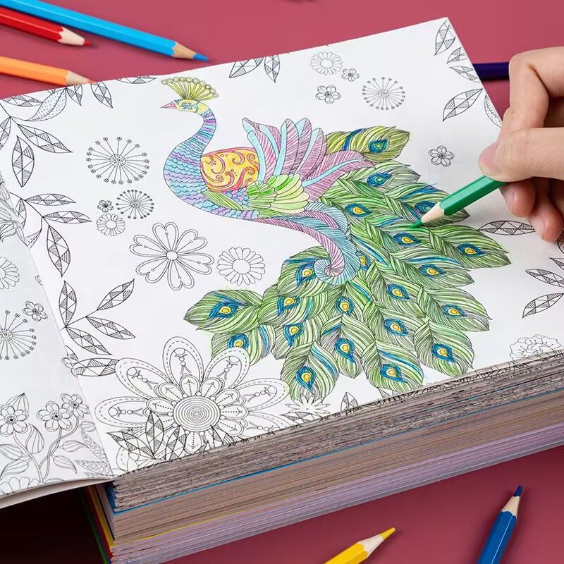 Elementary School Student Coloring Book Secret Garden Decompression - Cindi Book
