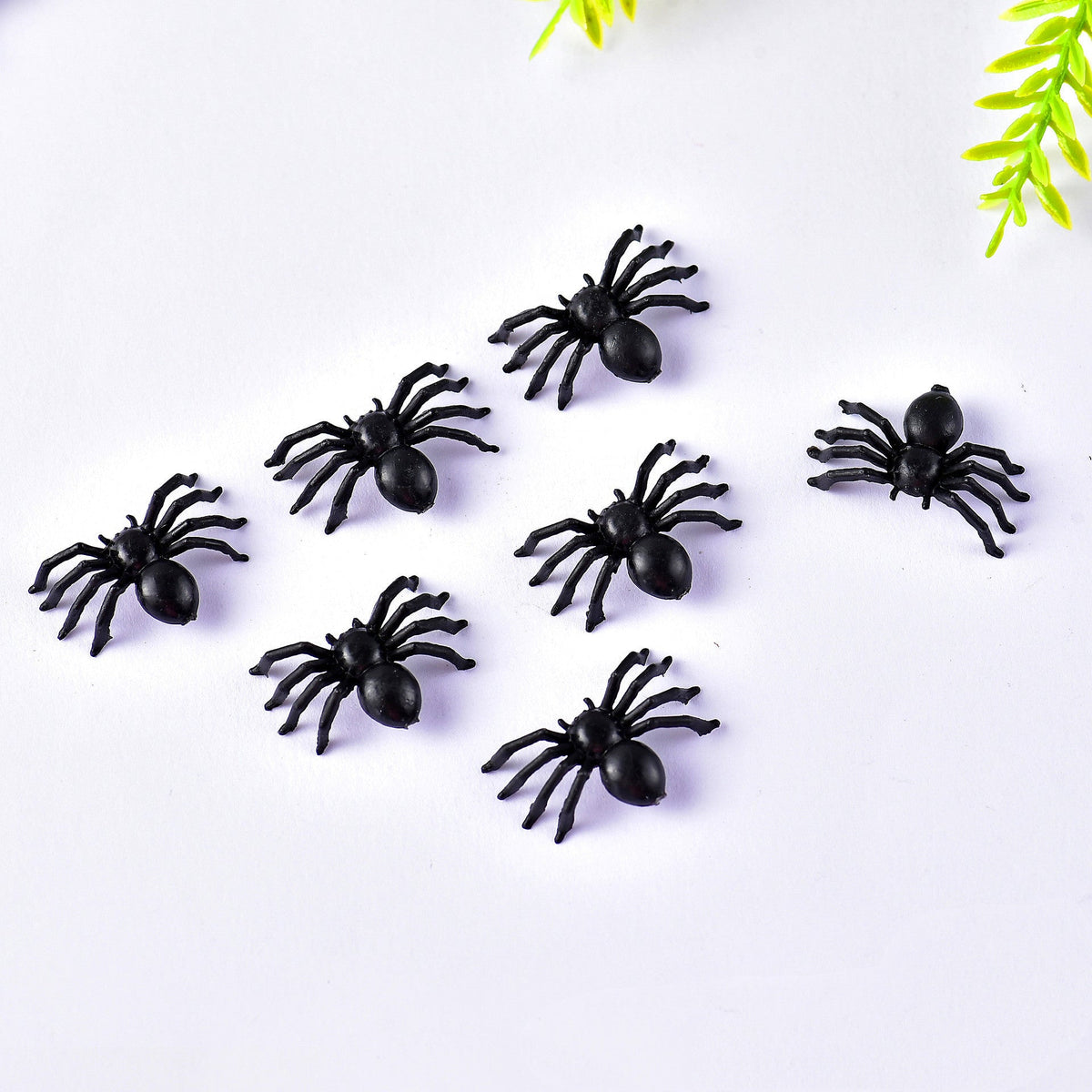 Halloween plastic spider - Cindi Book