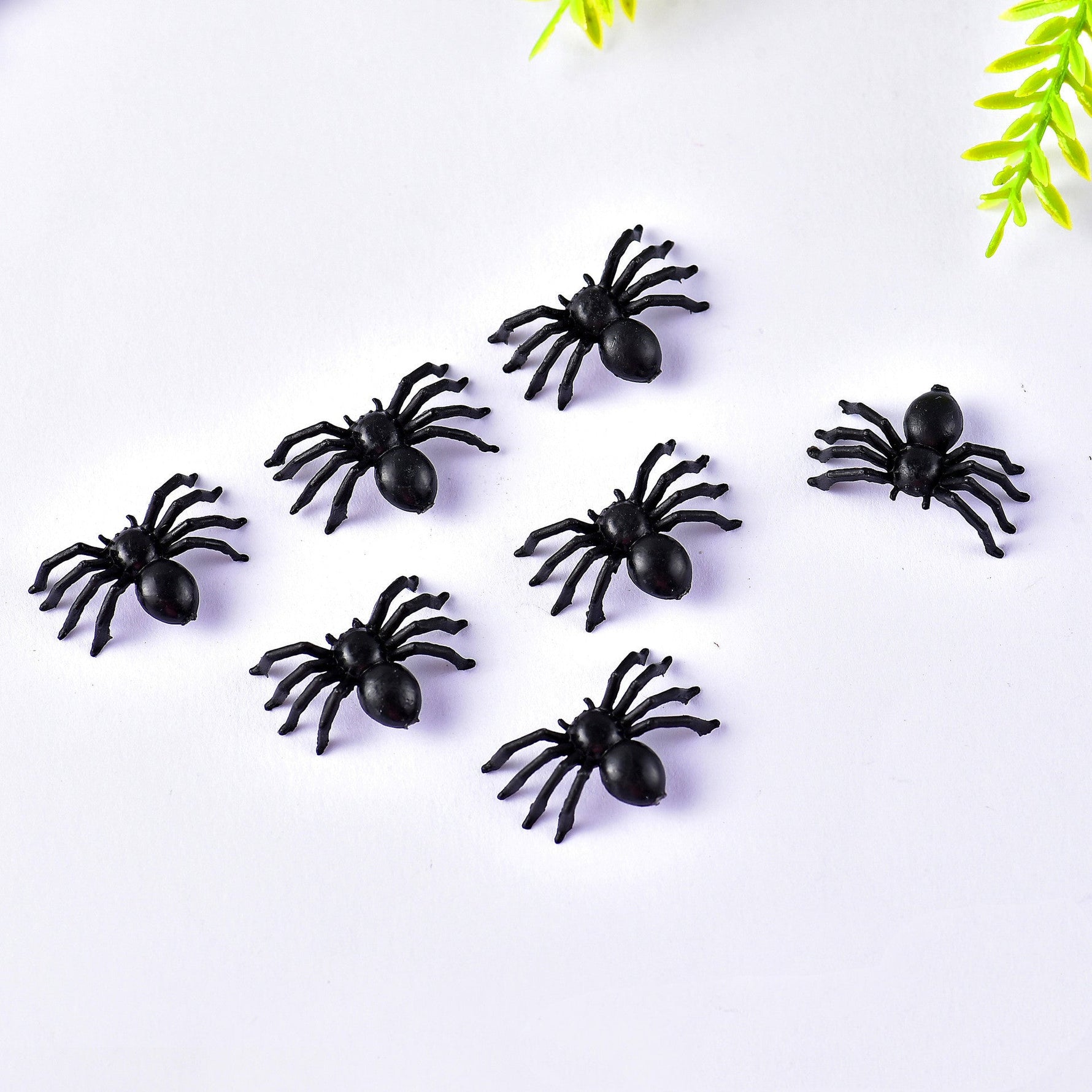 Halloween plastic spider - Cindi Book