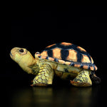 Simulated Land Turtle Doll Cute Turtle Doll Plush Toy - Cindi Book