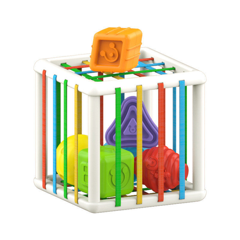 Hand Training For Children, Infants And Toddlers - Cindi Book