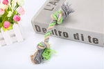 Rope Pet Toy - Cindi Book