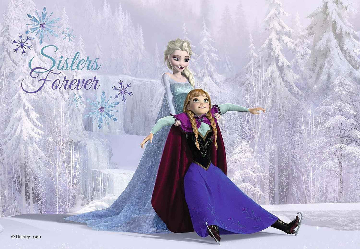 Icy Princesses Frosted Puzzle