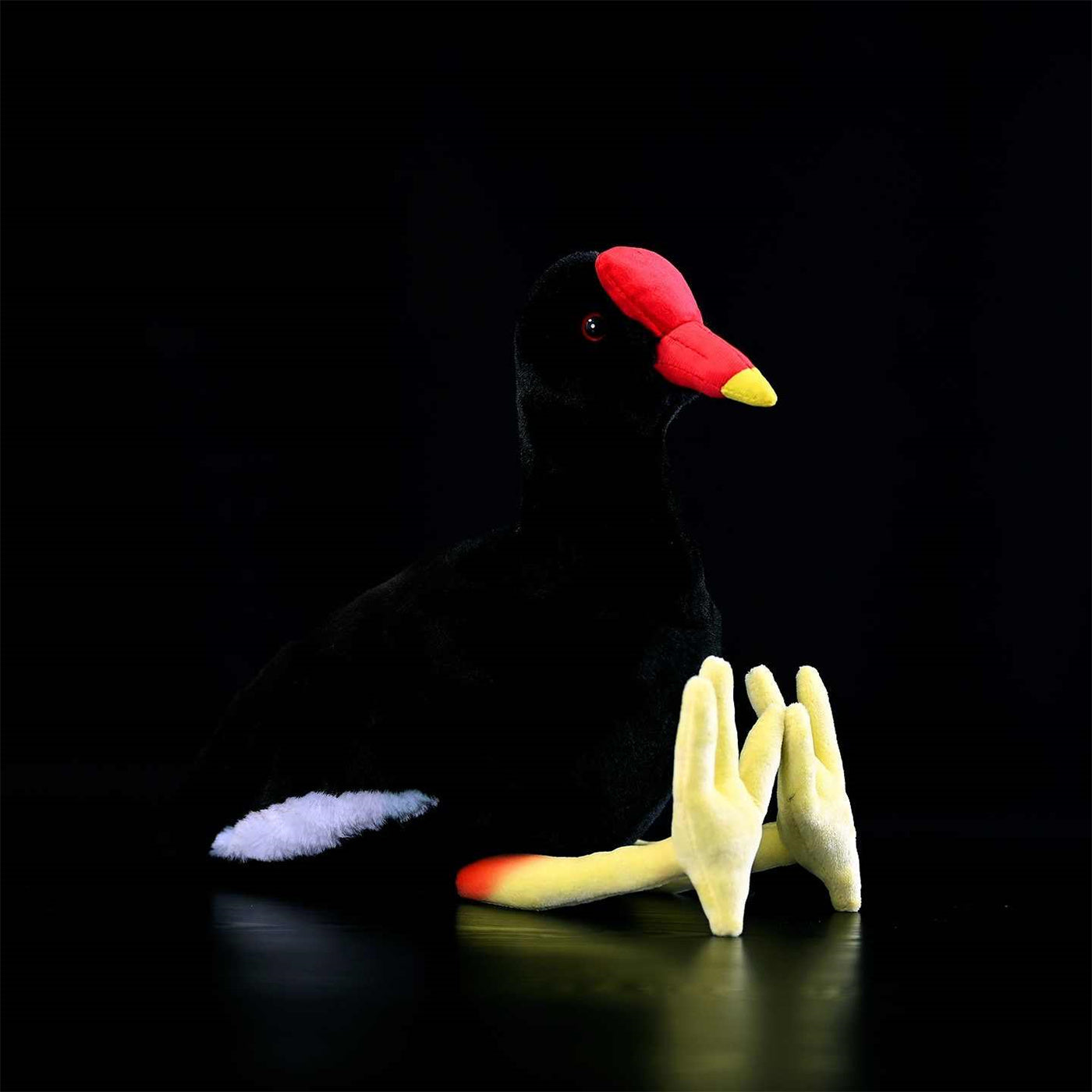Black Water Chicken Plush Toy Red Bone Top - Cindi Book