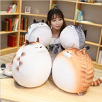 New Japanese Cute Pet Kitten  Doll Plush Toy - Cindi Book