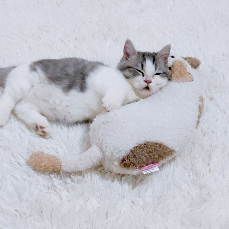 Cat Toy Pillow Shaped Funny Funny Stick Pet Supplies - Cindi Book