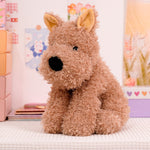 Birthday Gifts For Men And Women Plush Toy Doll - Cindi Book