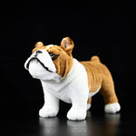 Cute Dog Doll Simulation British Plush Toy - Cindi Book