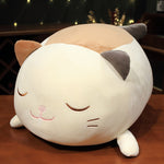 Cute Lying Lazy Cat Doll Plush Toy - Cindi Book