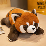 Coati Doll Plush Toys Cute - Cindi Book