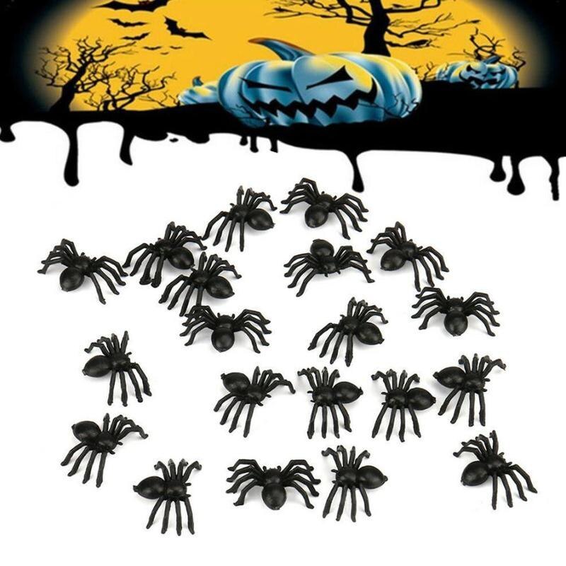 Halloween plastic spider - Cindi Book