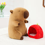 Creative Children's Cartoon Capybara Plush Toy - Cindi Book