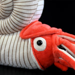 Paleontology Series Ammonite Plush Toys - Cindi Book