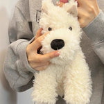 Birthday Gifts For Men And Women Plush Toy Doll - Cindi Book