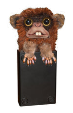 Surprising monkey - Cindi Book