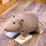 Simulation 3D mouse doll - Cindi Book