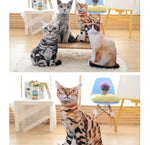 Simulation cat pillow cute cat doll plush toy stereo pet doll - Cindi Book