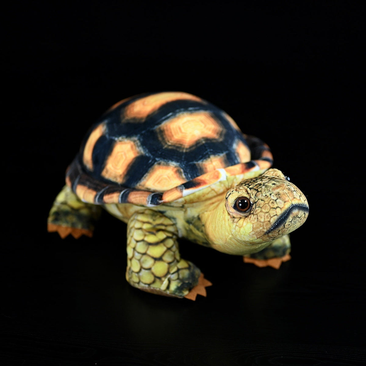 Simulated Land Turtle Doll Cute Turtle Doll Plush Toy - Cindi Book