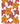 Creative Coloring Patterns of Nature