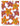 Creative Coloring Patterns of Nature
