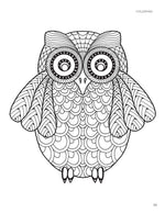 Zen Drawing Workbook