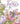 KC Doodle Art Fairies Coloring Book