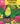 Hello Angel Tropical Escape Coloring Collection