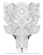 Hello Angel Jungle Safari Coloring Collection