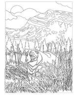 America the Beautiful Coloring Book