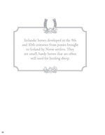 Horses Coloring Book