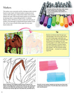 Horses Coloring Book