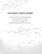 Sharks and Ocean Creatures Coloring Book