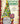 Jim Shore Enchanting Gnomes Coloring Book
