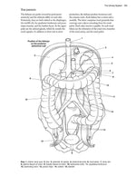 Complete Anatomy Coloring Book, Newly Revised and Updated Edition