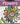 Zenspirations Coloring Book Flowers