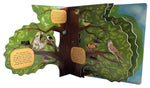 Discovering the World of Bird Nests
