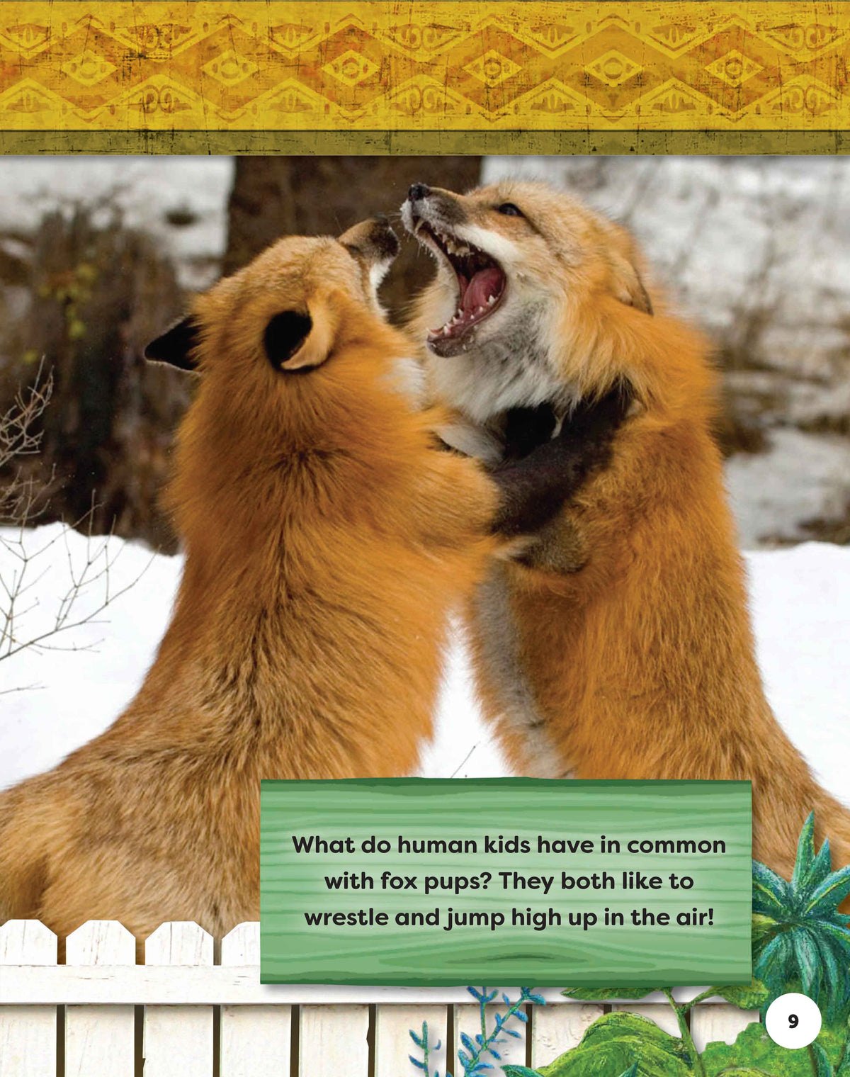 Kids Backyard Safari: Red Foxes