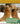 Kids Backyard Safari: Red Foxes