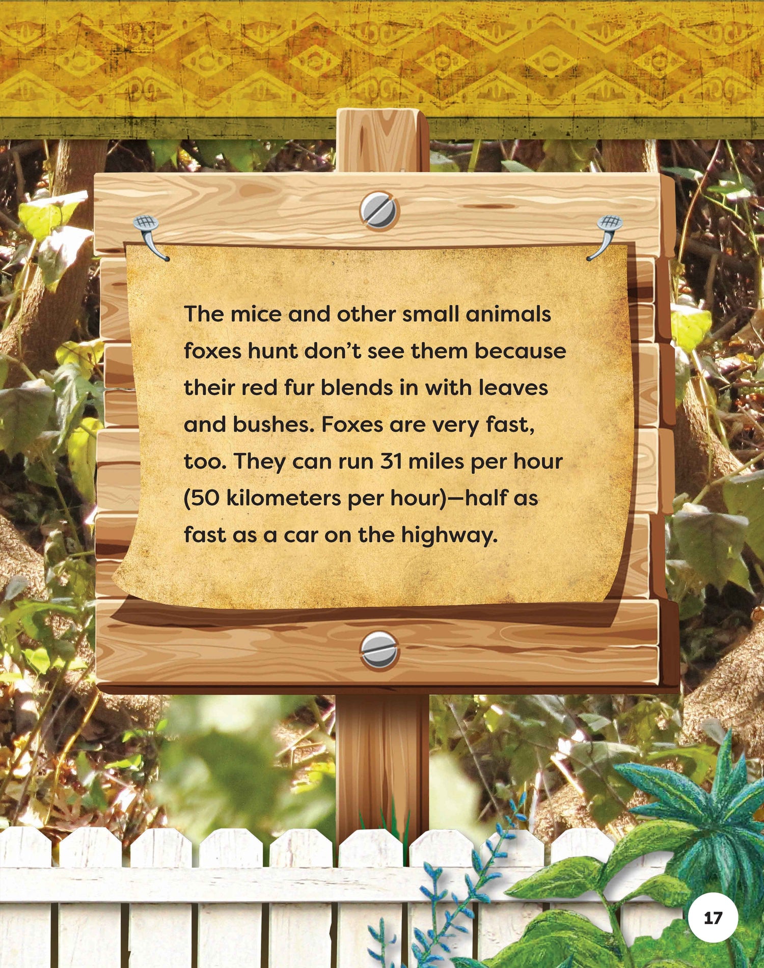 Kids Backyard Safari: Red Foxes